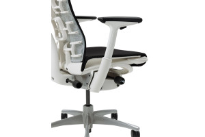 Кресло Herman Miller Embody Dark Carbon - White/Titanium (Balance)