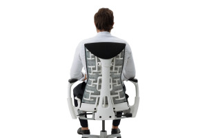 Кресло Herman Miller Embody Dark Carbon - White/Titanium (Balance)