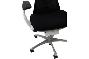 Кресло Herman Miller Embody Dark Carbon - White/Titanium (Balance)
